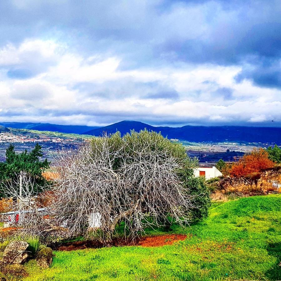 Branca Goncalves Belmonte Βίλα Belmonte  Εξωτερικό φωτογραφία