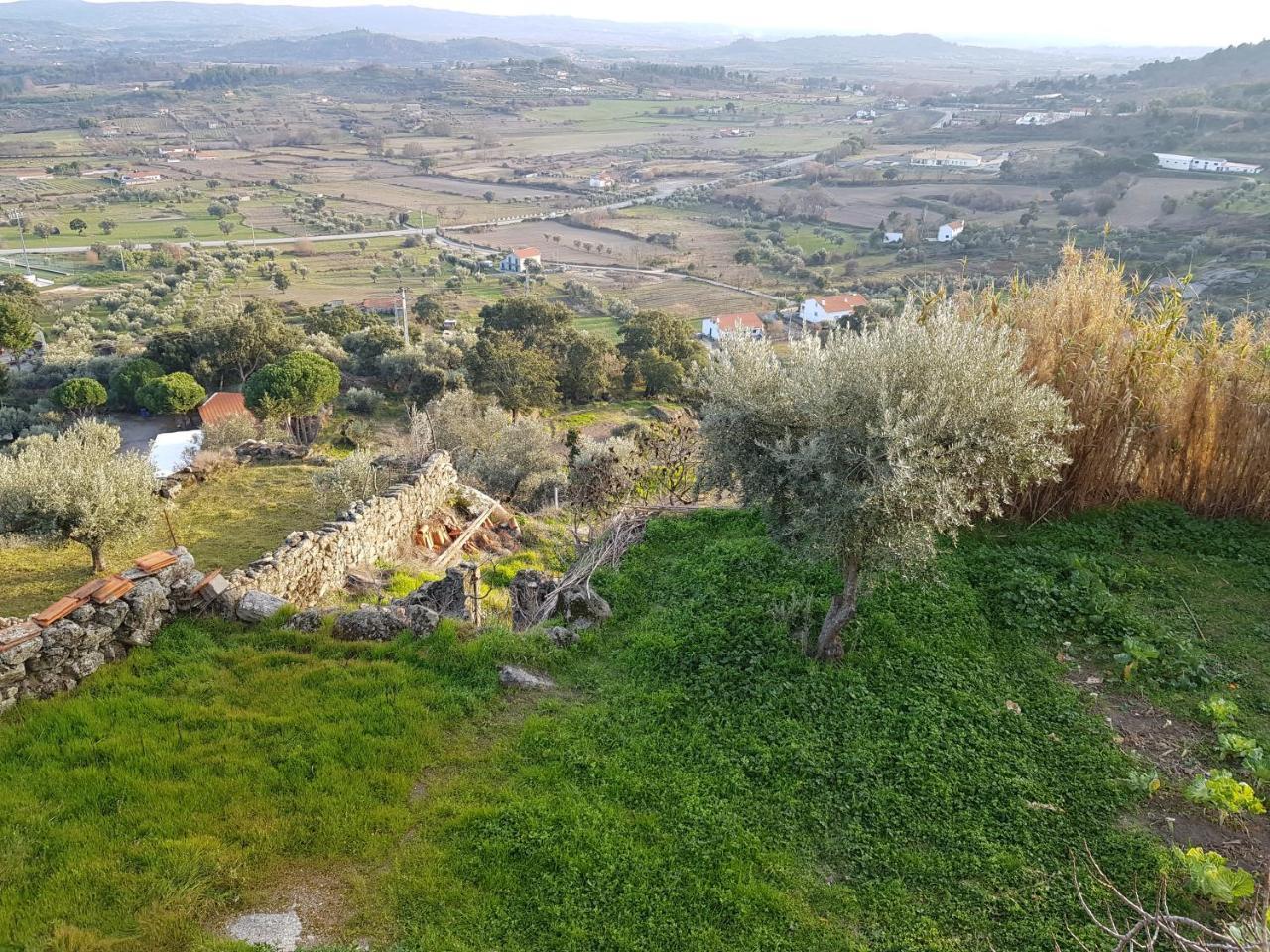 Branca Goncalves Belmonte Βίλα Belmonte  Εξωτερικό φωτογραφία